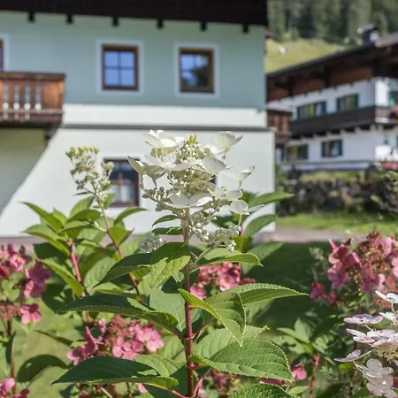 Weissbacher Sankt Martin bei Lofer