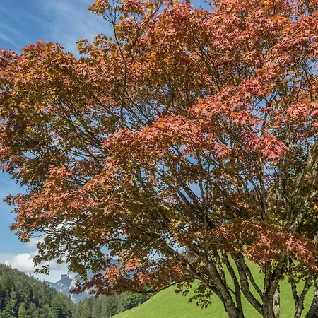 Weissbacher Appartamento