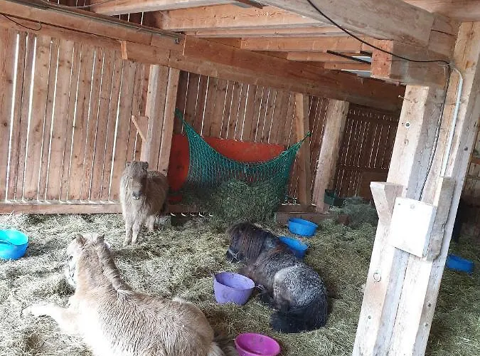 Weissbacher * 장크트 마르틴 베이 로페르